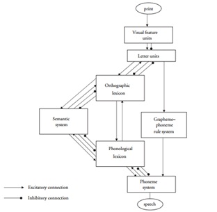 Figur 2 – The Dual-Route Cascaded Model